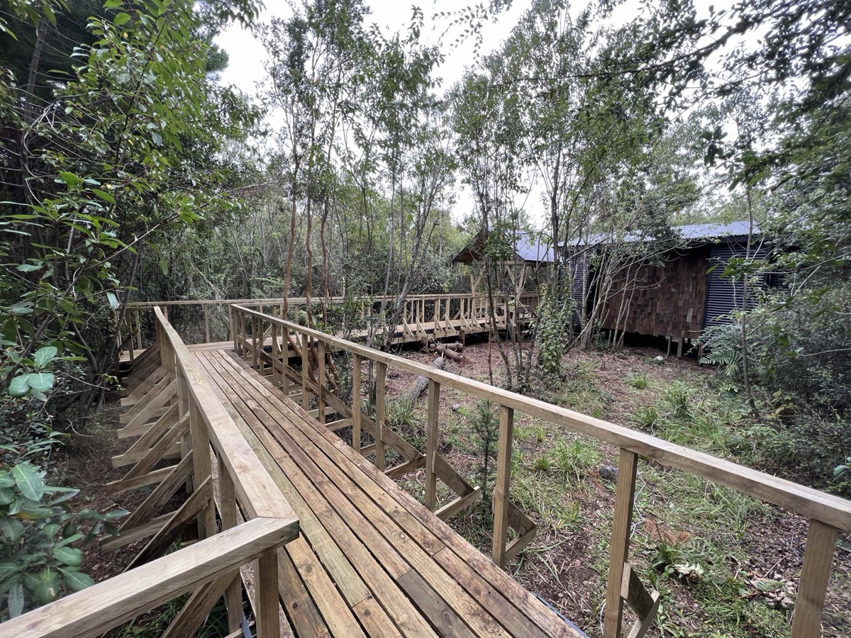 Pasarela de madera hacia una cabaña en el bosque